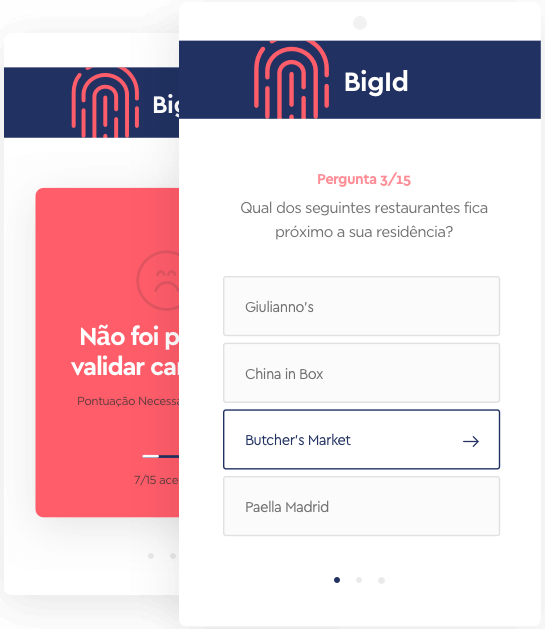BigID - Questionário